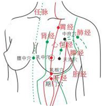 催乳经络学